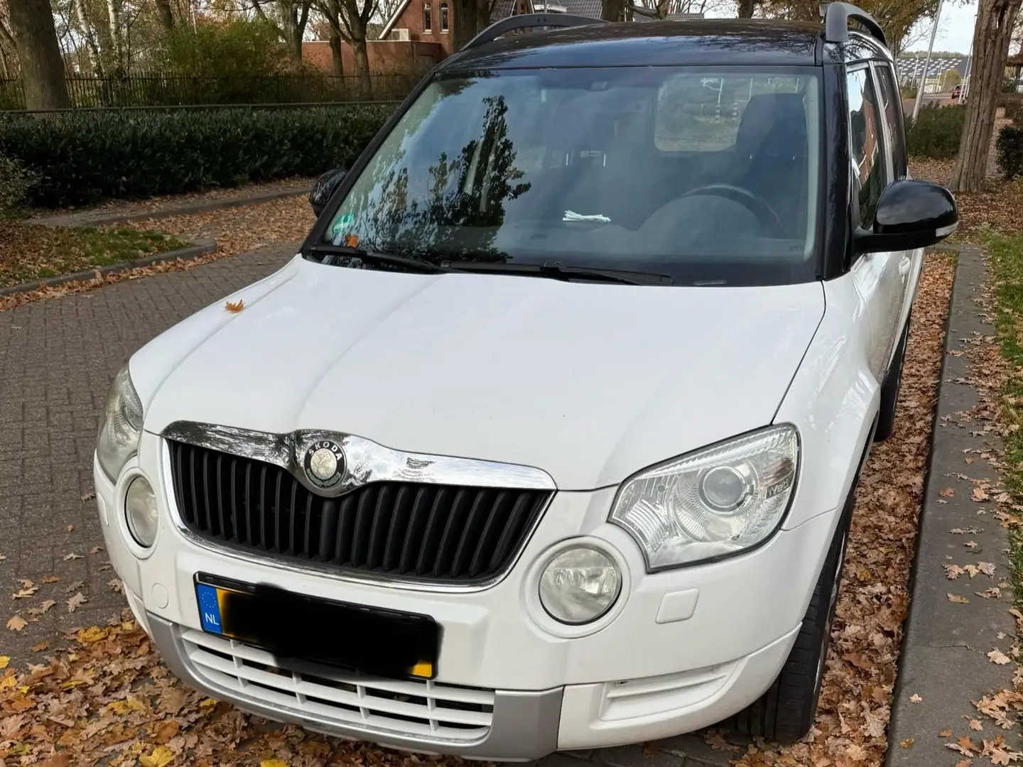 Skoda Yeti Yeti 1.8 TSI Act. Plus4x4 White - 1
