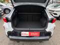 CUPRA Formentor 1.5 TSI 150 PS ACT TOP Preis Weiß - thumbnail 13