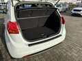 Kia Venga 1.6 CVVTKlimaaut Shzg Alu Privacy Glas Wit - thumbnail 18