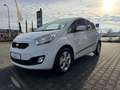 Kia Venga 1.6 CVVTKlimaaut Shzg Alu Privacy Glas Wit - thumbnail 5