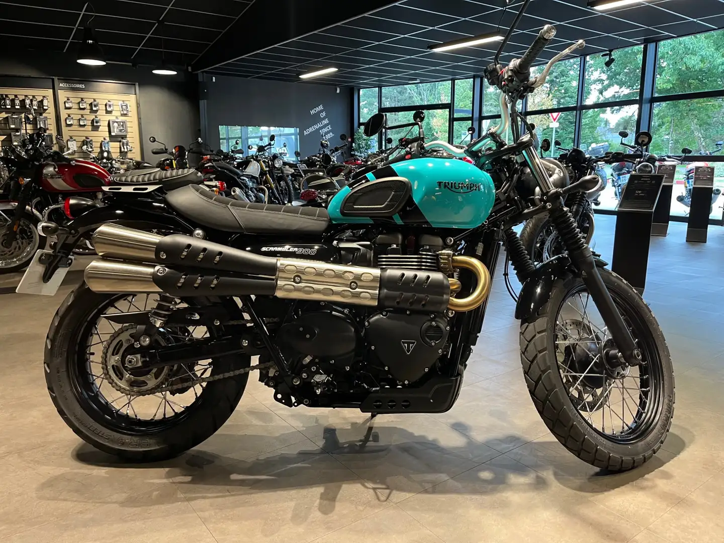 Triumph Scrambler Bleu - 1