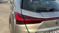 Lexus UX 250h 2.0 BUSINESS AUTO 184 5P Gris - thumbnail 15