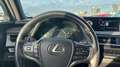 Lexus UX 250h 2.0 BUSINESS AUTO 184 5P Gris - thumbnail 21