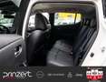 Nissan Leaf Tekna *CarPlay*Leder*BOSE*Ambiente*Kamera*SHZ*LED* Weiß - thumbnail 14