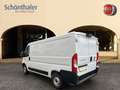 Fiat Ducato Ducato 30 L2H1 120 TOP-Ausstattung Blanco - thumbnail 2
