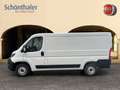 Fiat Ducato Ducato 30 L2H1 120 TOP-Ausstattung Blanco - thumbnail 3