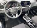 Kia Ceed SW / cee'd SW Ultimate Edition 1.5T-GDI 48V DCT Style JBL LED Schwarz - thumbnail 9