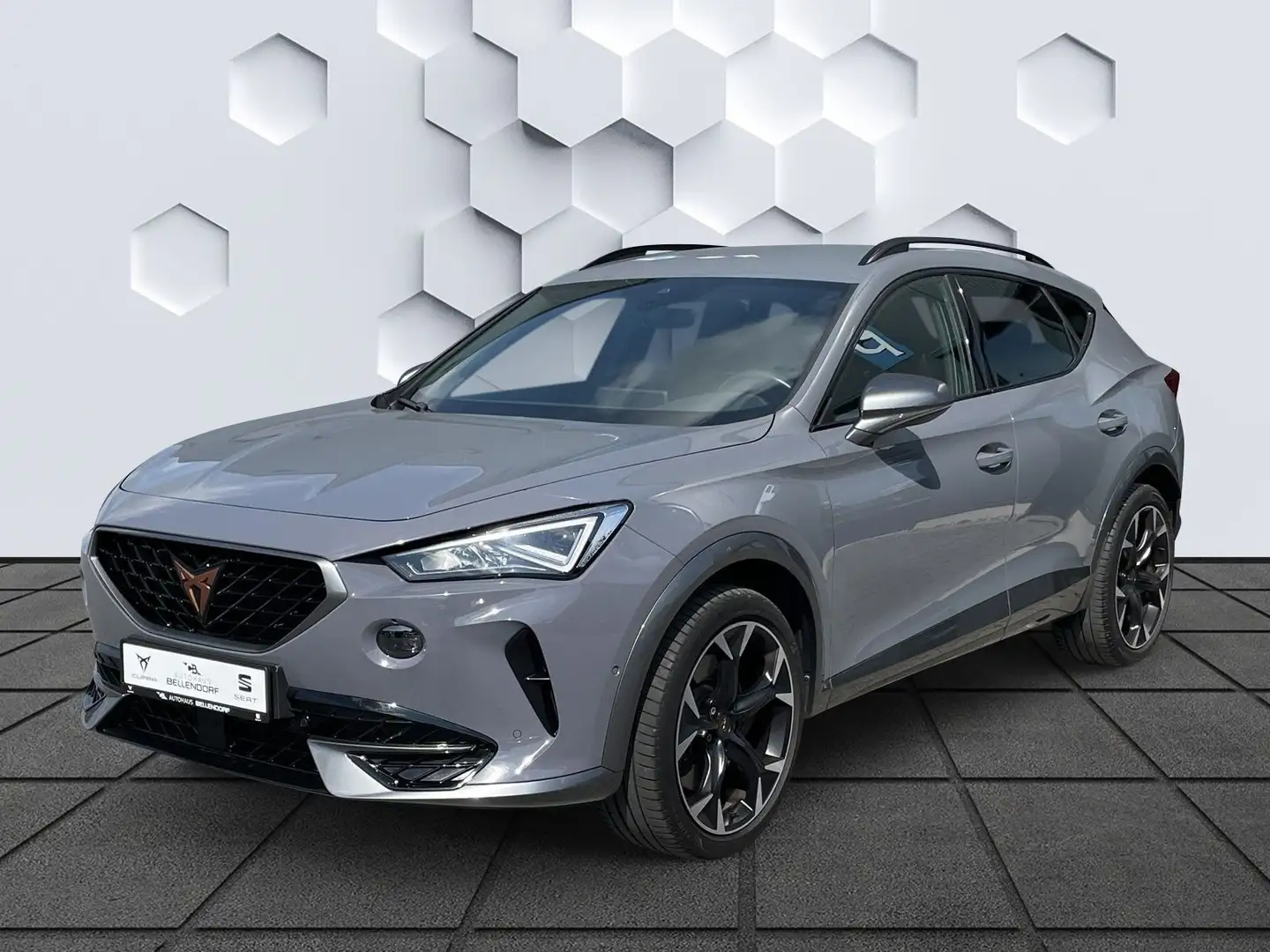 CUPRA Formentor VZ 2.0 TSI DSG 4Drive Navi Grau - 1