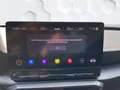 CUPRA Formentor VZ 2.0 TSI DSG 4Drive Navi Grau - thumbnail 8