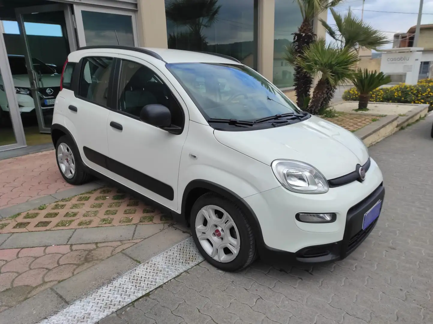 Fiat Panda Panda 1.0 firefly hybrid City Life s Bianco - 2