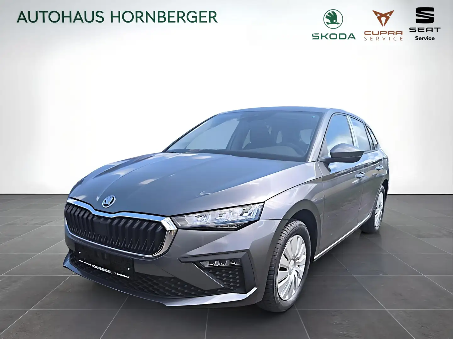 Skoda Scala Sondermodell 130 Jahre Anhängerkupplung Tempoma Gris - 1