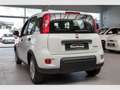 Fiat Panda Hybrid 1.0 GSE Klima DAB eFH Isofix Blanc - thumbnail 4
