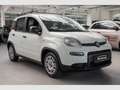 Fiat Panda Hybrid 1.0 GSE Klima DAB eFH Isofix Blanco - thumbnail 2