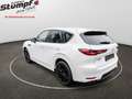 Mazda CX-60 Homura Hybrid AWD LEDER/NAVI/TOp Zustand Blanc - thumbnail 7