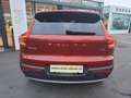 Volvo XC40 T3 Momentum Naranja - thumbnail 5