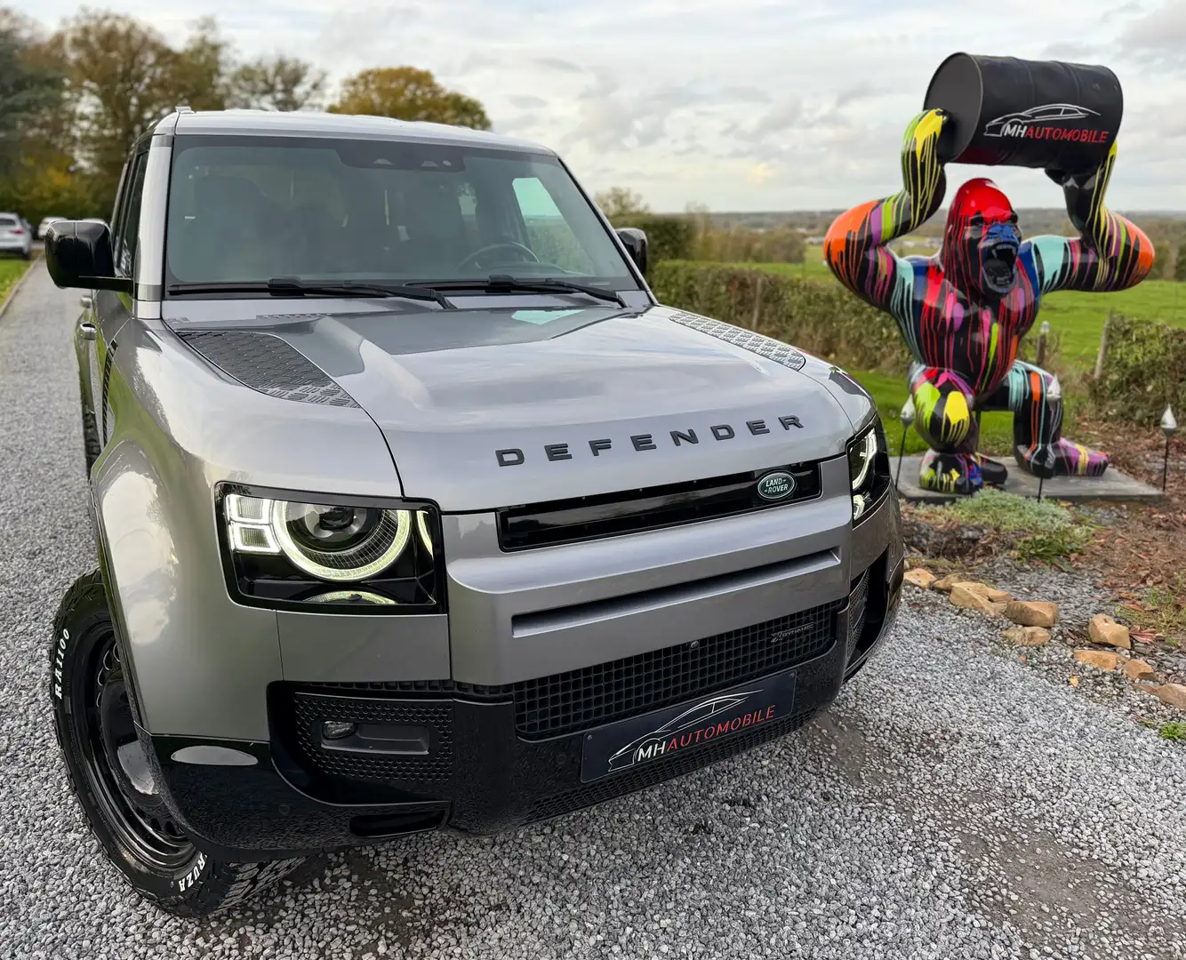 Land Rover Defender 3.0 D MHEV D300 Gris - 2