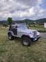 Jeep CJ-5 - thumbnail 3