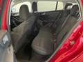 Ford Focus Turnier Titanium MHEV LED Kamera Tempomat Rood - thumbnail 19