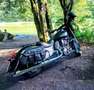 Indian Chief Dark Horse Noir - thumbnail 4