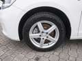 Volkswagen Caddy Maxi 2,0 TDI Life *7-SITZE+LED* Weiß - thumbnail 6
