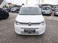 Volkswagen Caddy Maxi 2,0 TDI Life *7-SITZE+LED* Weiß - thumbnail 2