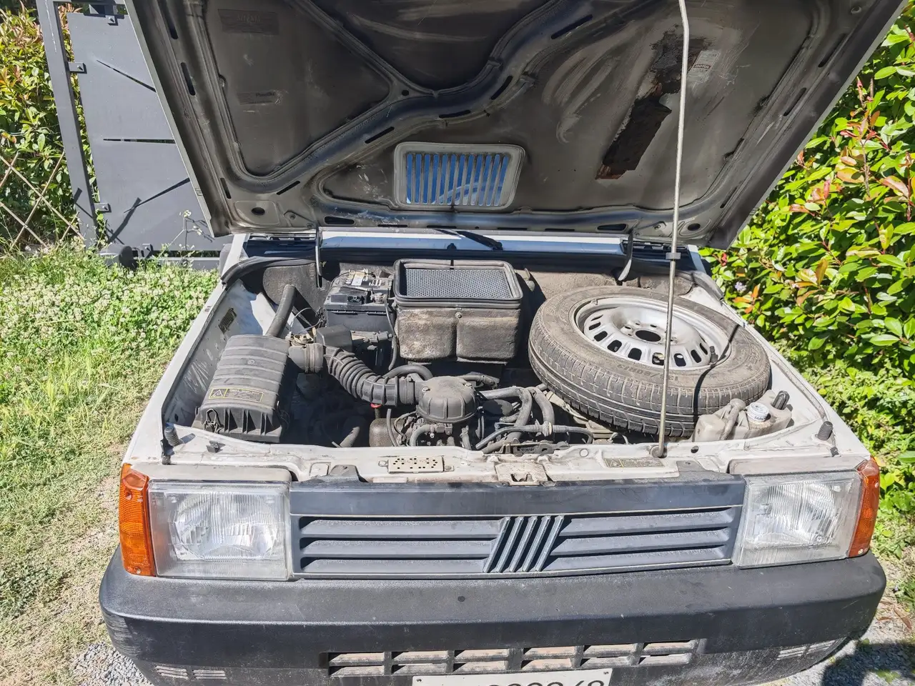 Fiat Panda 0.9 Young, foto 4