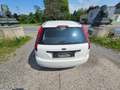 Ford Fiesta Trend 1,4 TDCi Weiß - thumbnail 5
