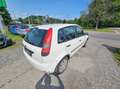 Ford Fiesta Trend 1,4 TDCi Weiß - thumbnail 4