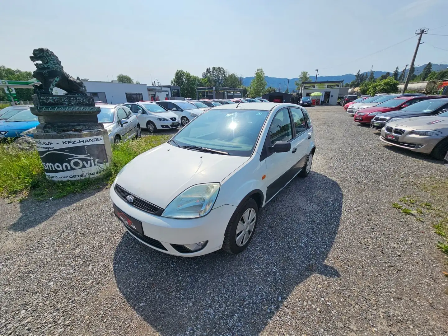 Ford Fiesta Trend 1,4 TDCi Blanco - 1
