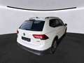 Volkswagen Tiguan Allspace Highline 4MOT 2.0 TDI DSG AHK/19 Highline Weiß - thumbnail 4