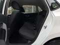 Volkswagen Polo Pickerl Neu 01/2027 / Winterreifen Neu Weiß - thumbnail 17