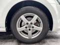 Volkswagen Polo Pickerl Neu 01/2027 / Winterreifen Neu Weiß - thumbnail 11