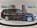 Ford Focus COOL&CONNECT Schwarz - thumbnail 4
