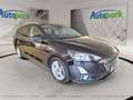 Ford Focus COOL&CONNECT Schwarz - thumbnail 3
