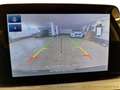 Ford Focus COOL&CONNECT Schwarz - thumbnail 15