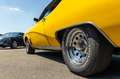 Buick Skylark Origineel NL I 31 jaar in bezit van 2e eigenaar I Gelb - thumbnail 11