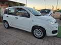 Fiat Panda Panda III 1.2 Easy easypower Gpl 69cv Bianco - thumbnail 5