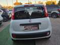 Fiat Panda Panda III 1.2 Easy easypower Gpl 69cv Bianco - thumbnail 8