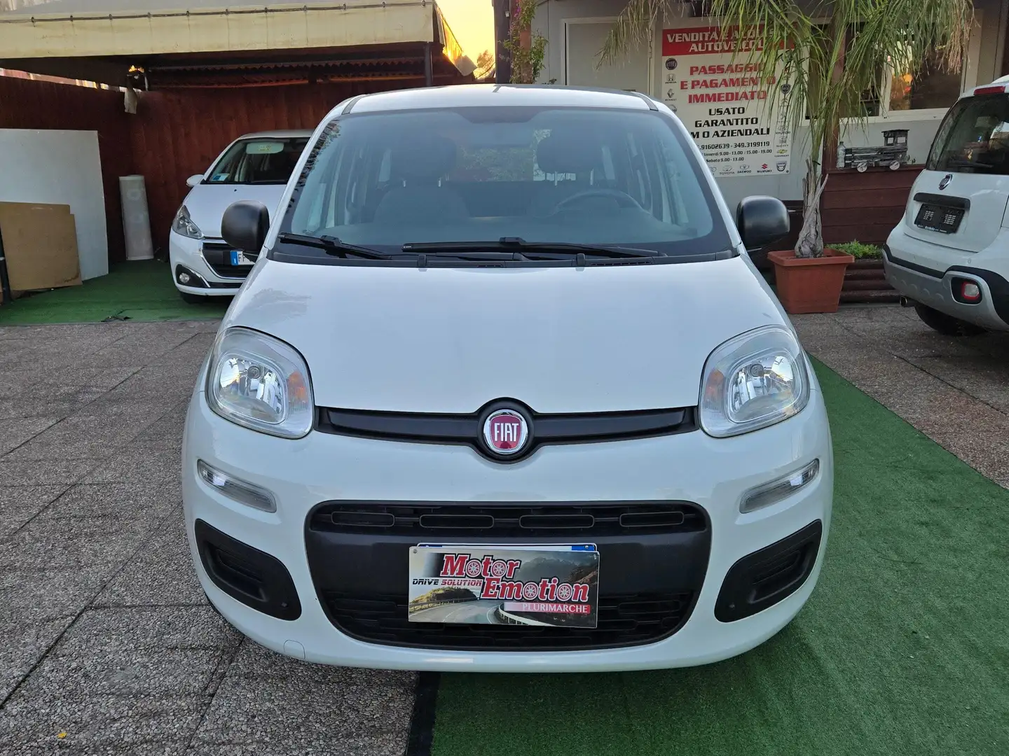 Fiat Panda Panda III 1.2 Easy easypower Gpl 69cv Bianco - 2