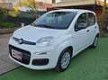Fiat Panda Panda III 1.2 Easy easypower Gpl 69cv Bianco - thumbnail 3