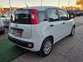 Fiat Panda Panda III 1.2 Easy easypower Gpl 69cv Bianco - thumbnail 7