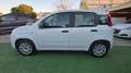 Fiat Panda Panda III 1.2 Easy easypower Gpl 69cv Bianco - thumbnail 4