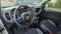 Fiat Panda Panda III 1.2 Easy easypower Gpl 69cv Bianco - thumbnail 14