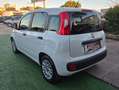 Fiat Panda Panda III 1.2 Easy easypower Gpl 69cv Bianco - thumbnail 9