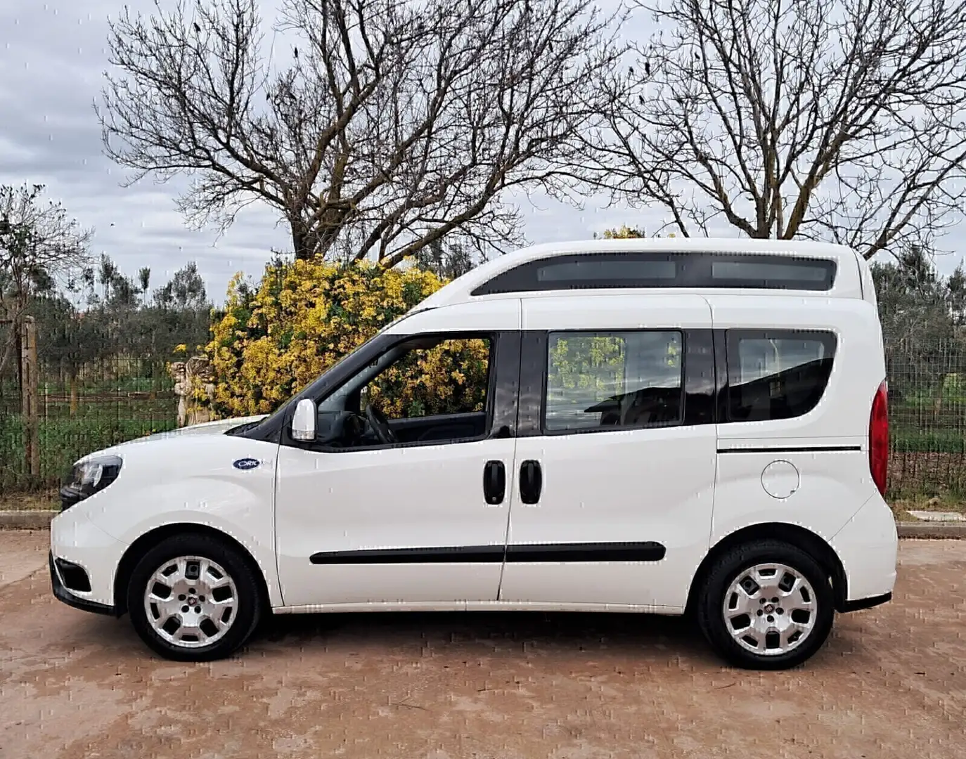 Fiat Doblo Doblò TETTO ALTO TRASPORTO DISABILI EURO6 Blanco - 2