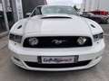 Ford Mustang GT V8 5,0L BV6 - thumbnail 2