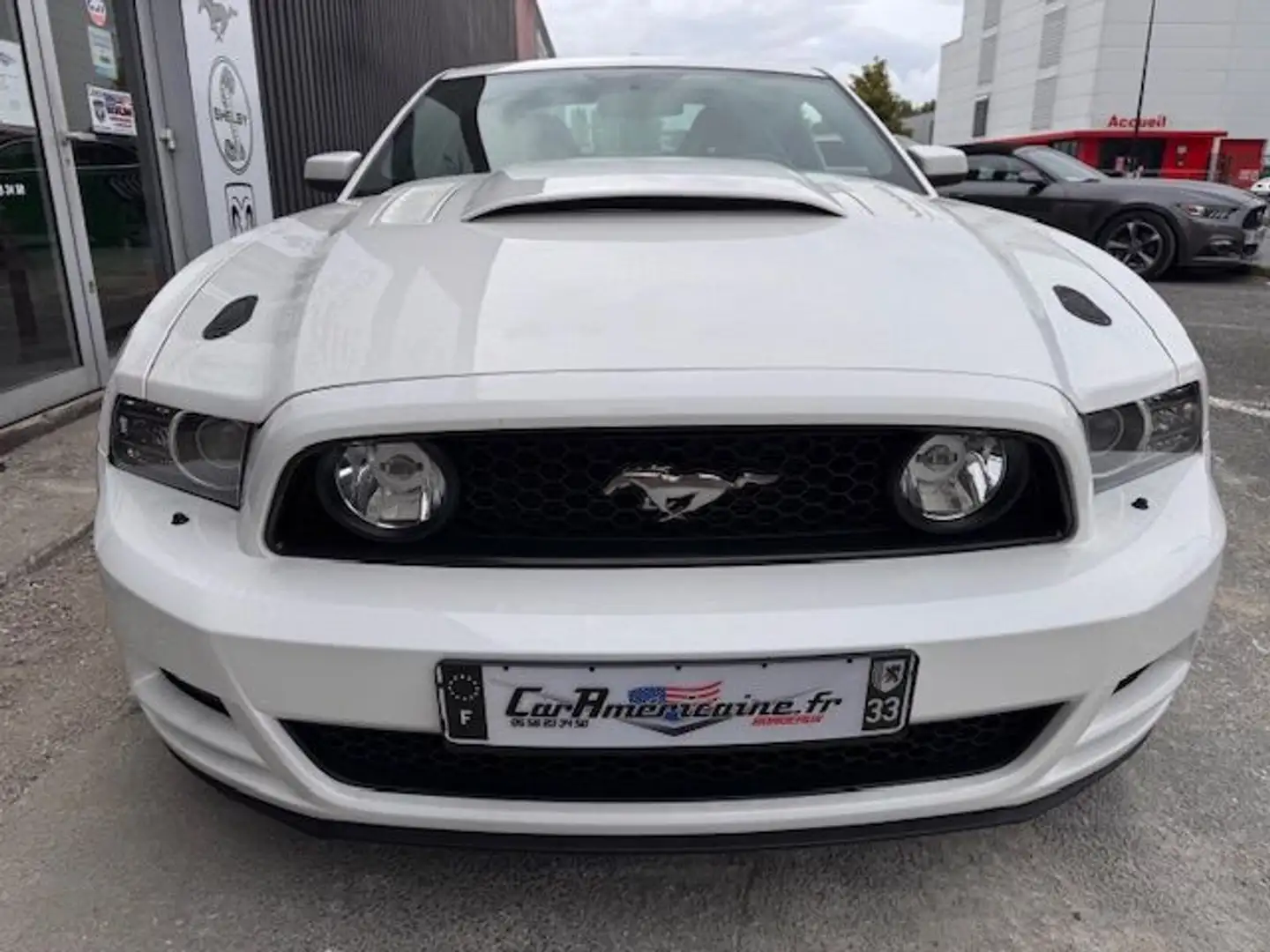 Ford Mustang GT V8 5,0L BV6 - 2