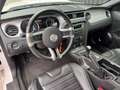 Ford Mustang GT V8 5,0L BV6 - thumbnail 13