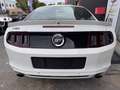 Ford Mustang GT V8 5,0L BV6 - thumbnail 11