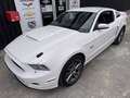 Ford Mustang GT V8 5,0L BV6 - thumbnail 6